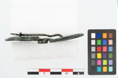 Foto von Bronzebrillenfibel (NHMW-PRAE-025788)